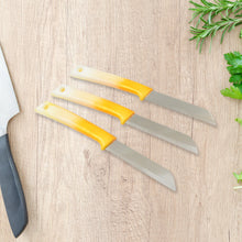 Kitchen Knife with Stainless Steel Blade (1 Pc)